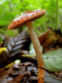 zdsc05317uit