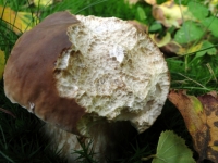 DSC09818uit