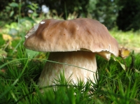 DSC09821uit