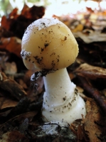 zdsc05599uit