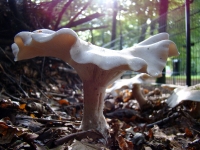 dsc05920a