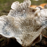 DSC06332uit