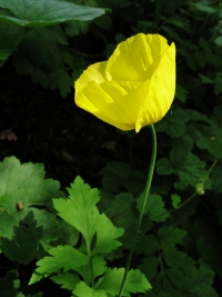 dsc07424uit