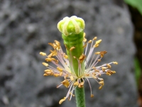 dsc08867uit