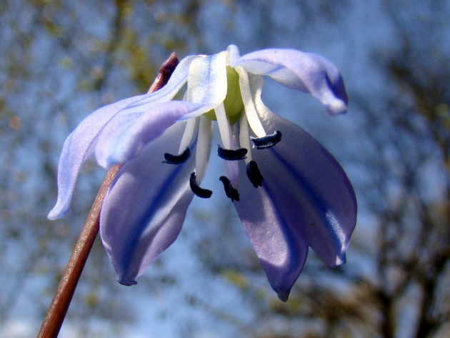 dsc00026uit