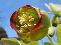 dsc09246uit