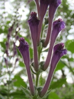 dsc00928uit
