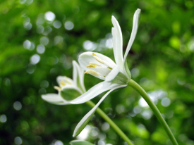 dsc01917uit