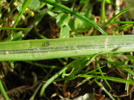 dsc01969a