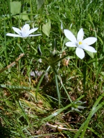 dsc00913uit