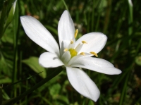 dsc00917uit