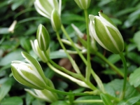 dsc01959uit