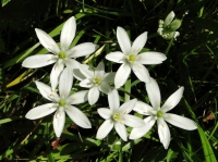 dsc07407uit