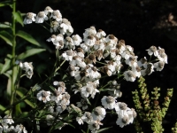 dsc09473uit