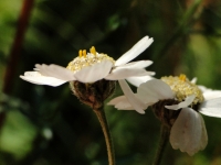 dsc09607uit