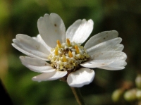 dsc09610uit