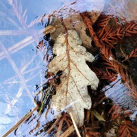 dsc00877uit