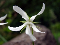 dsc02348uit