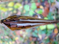 dsc07387uit