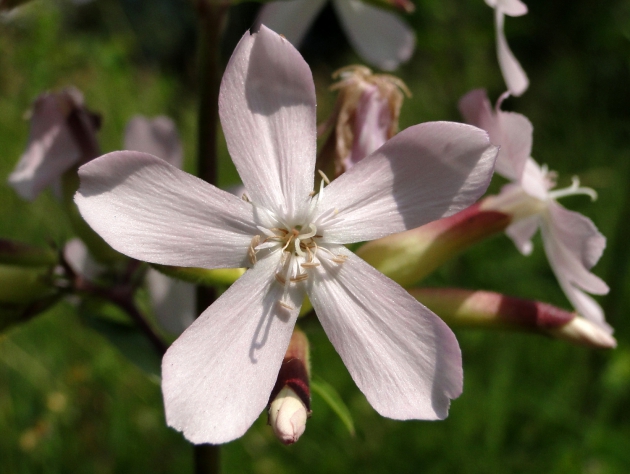 dsc02548uit