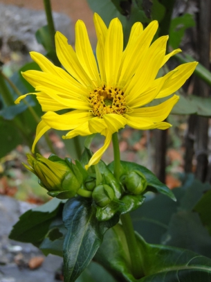 dsc01951a
