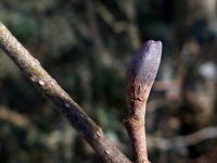 DSC00030uit2.jpg