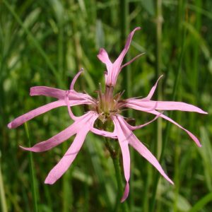 dsc01384uit